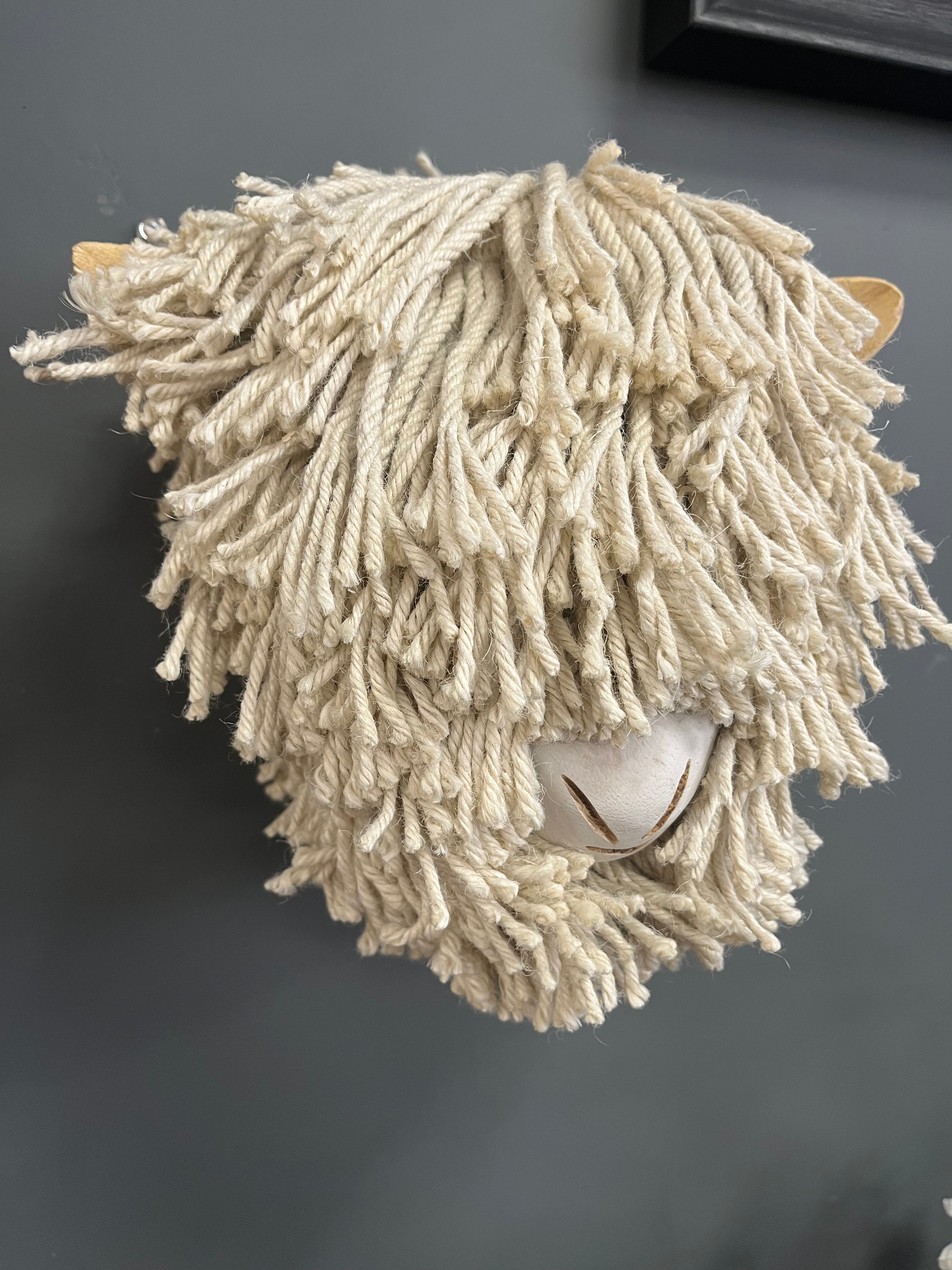 Shaggy Sheep