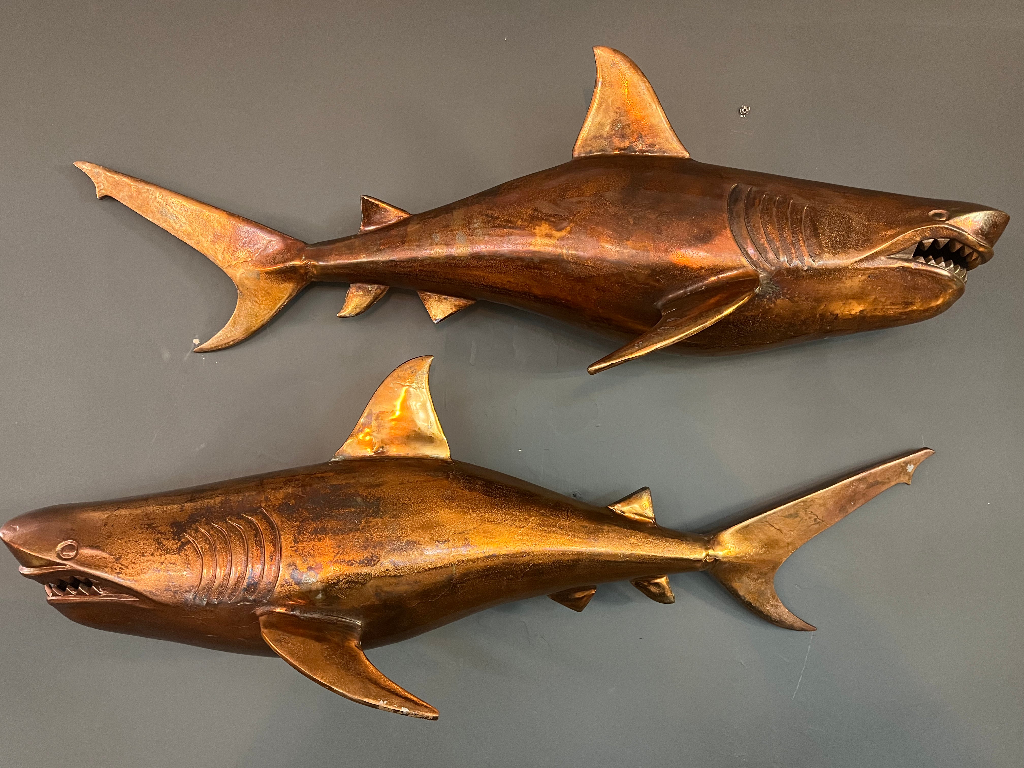 Large Pair of Wall Sharks Raw art