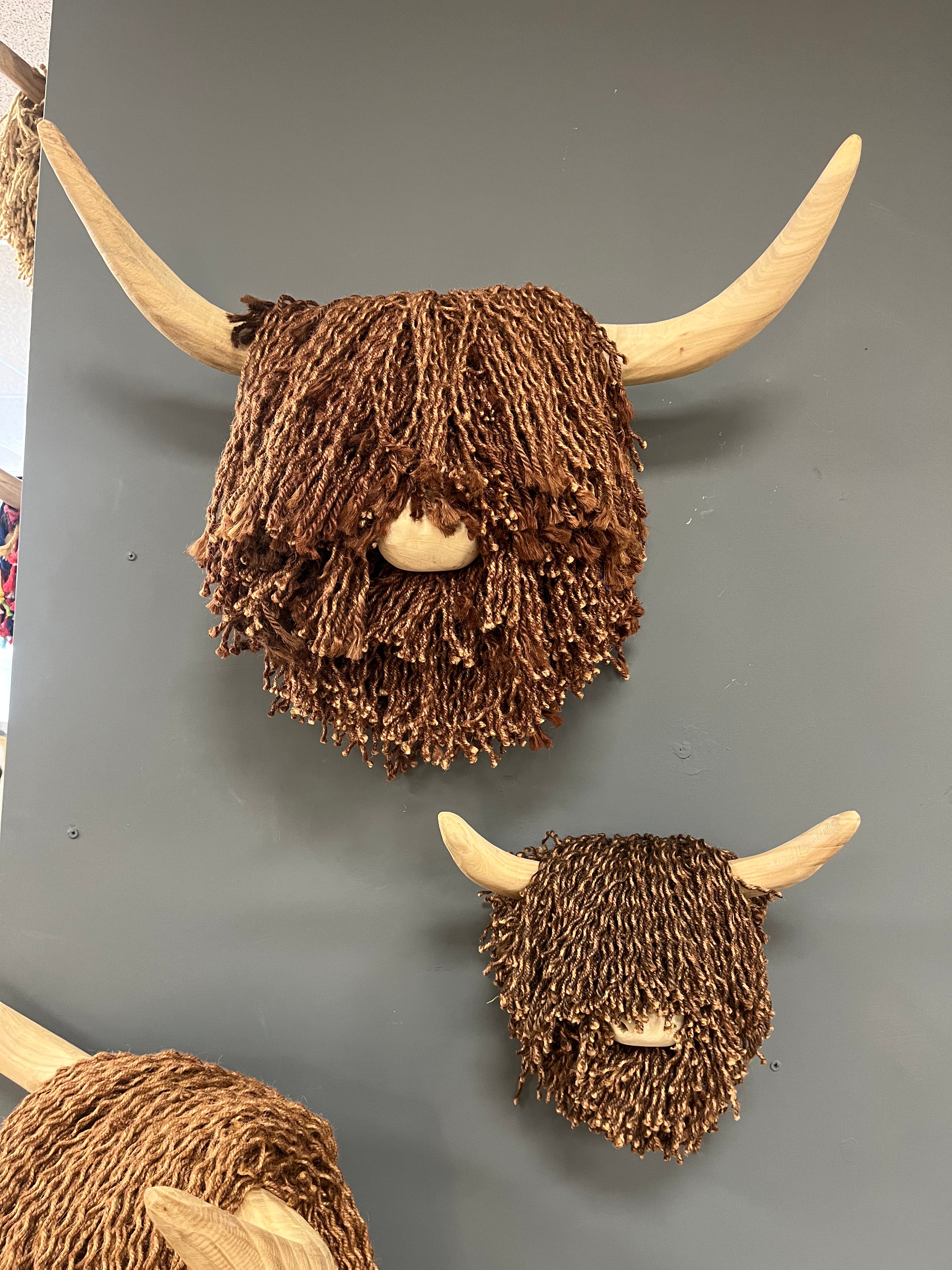 Large Highland Cow Brown