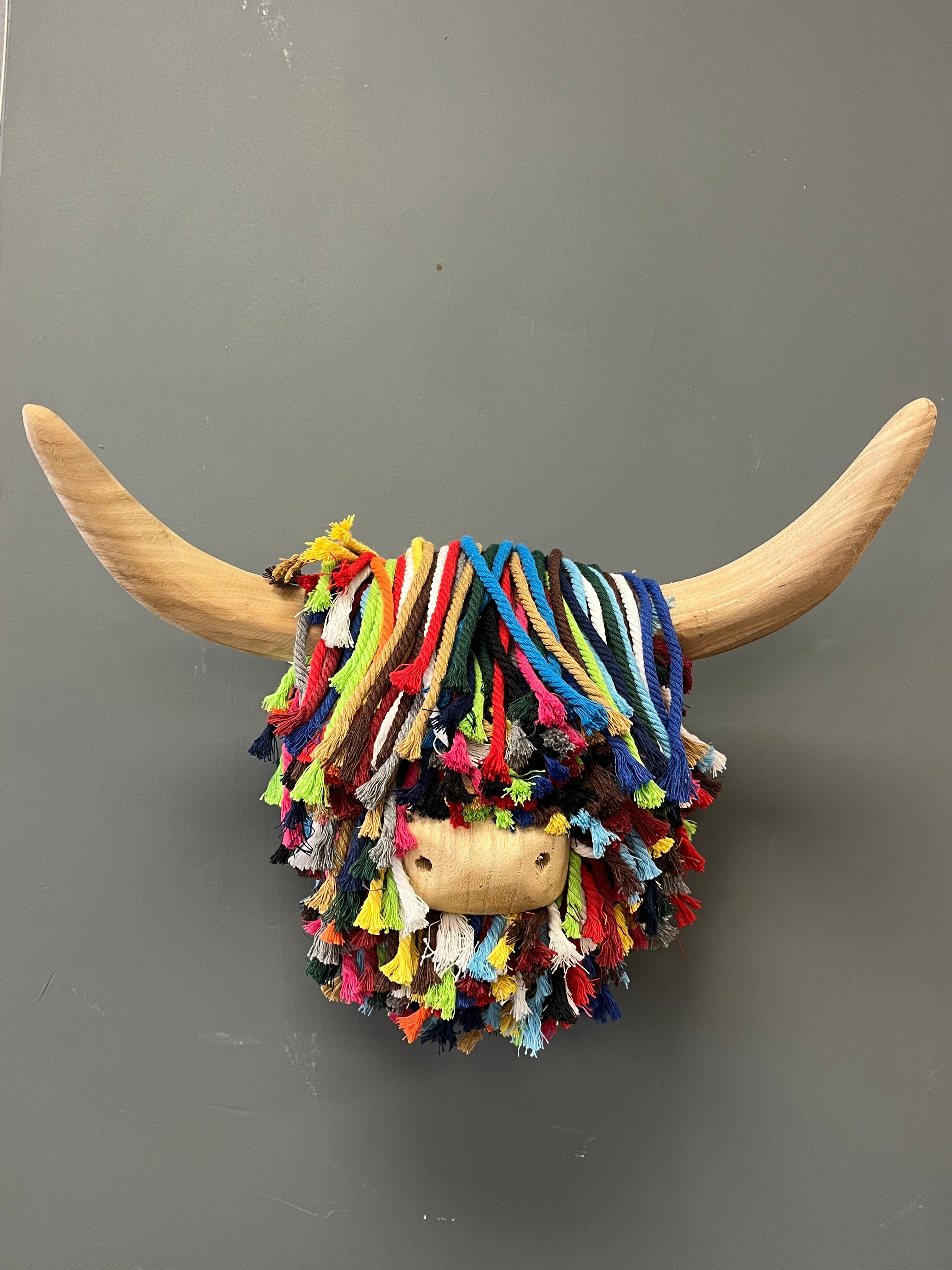 Small Highland Cow Multi
