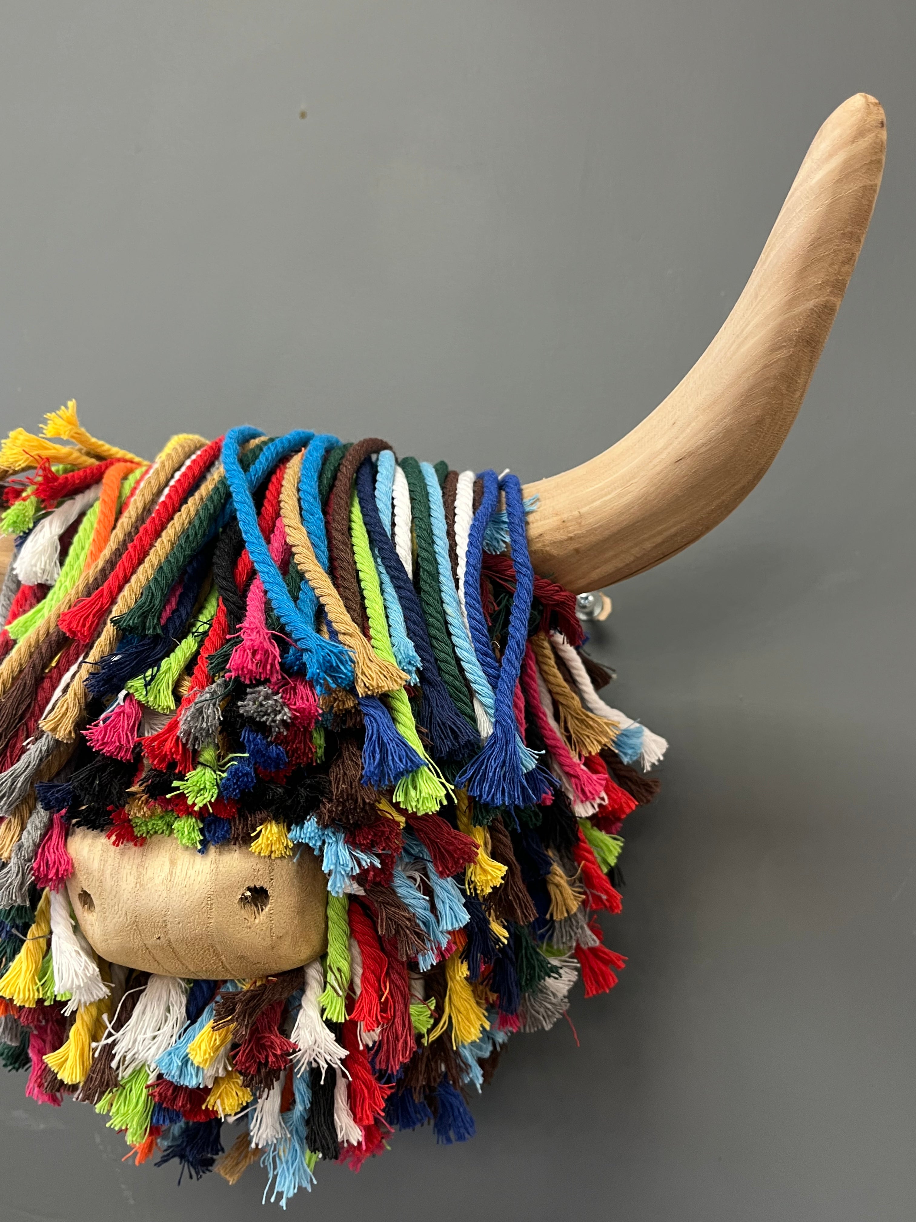 Small Highland Cow Multi