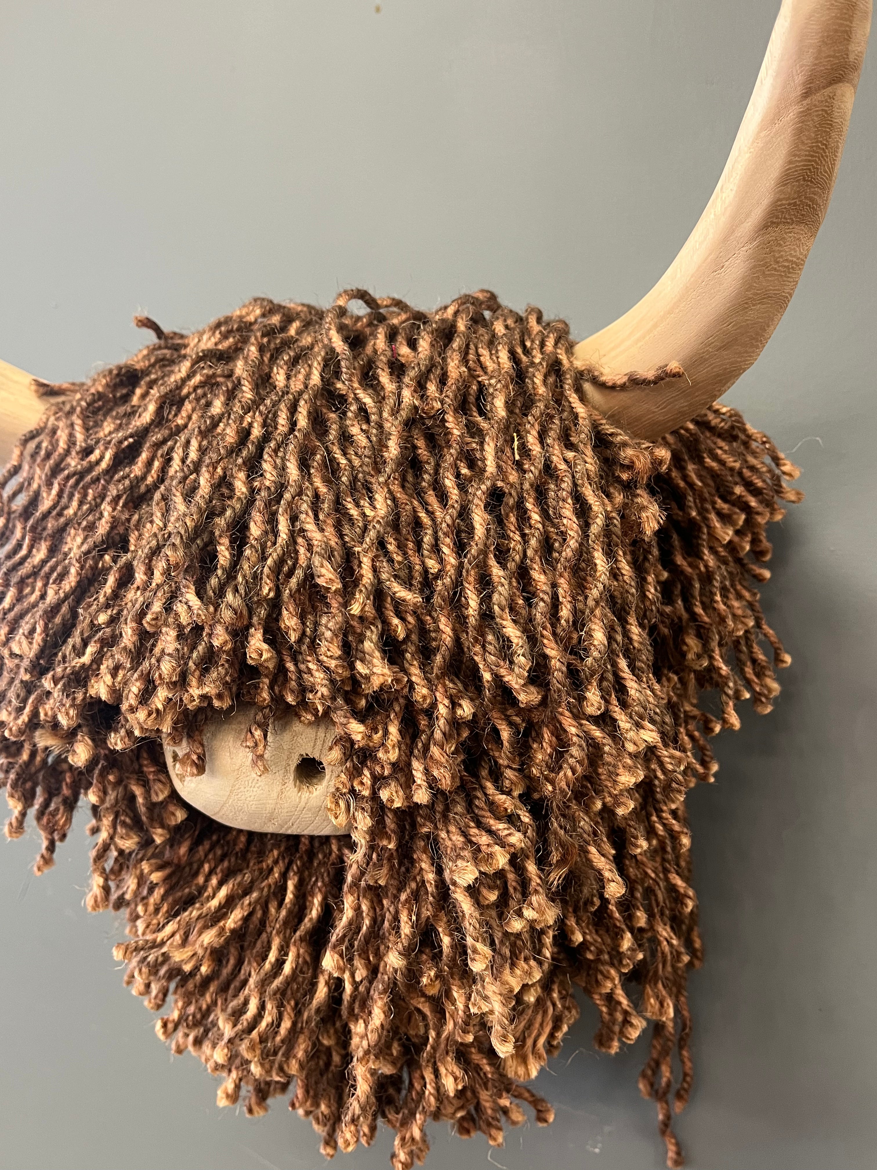 Small Highland Cow Brown