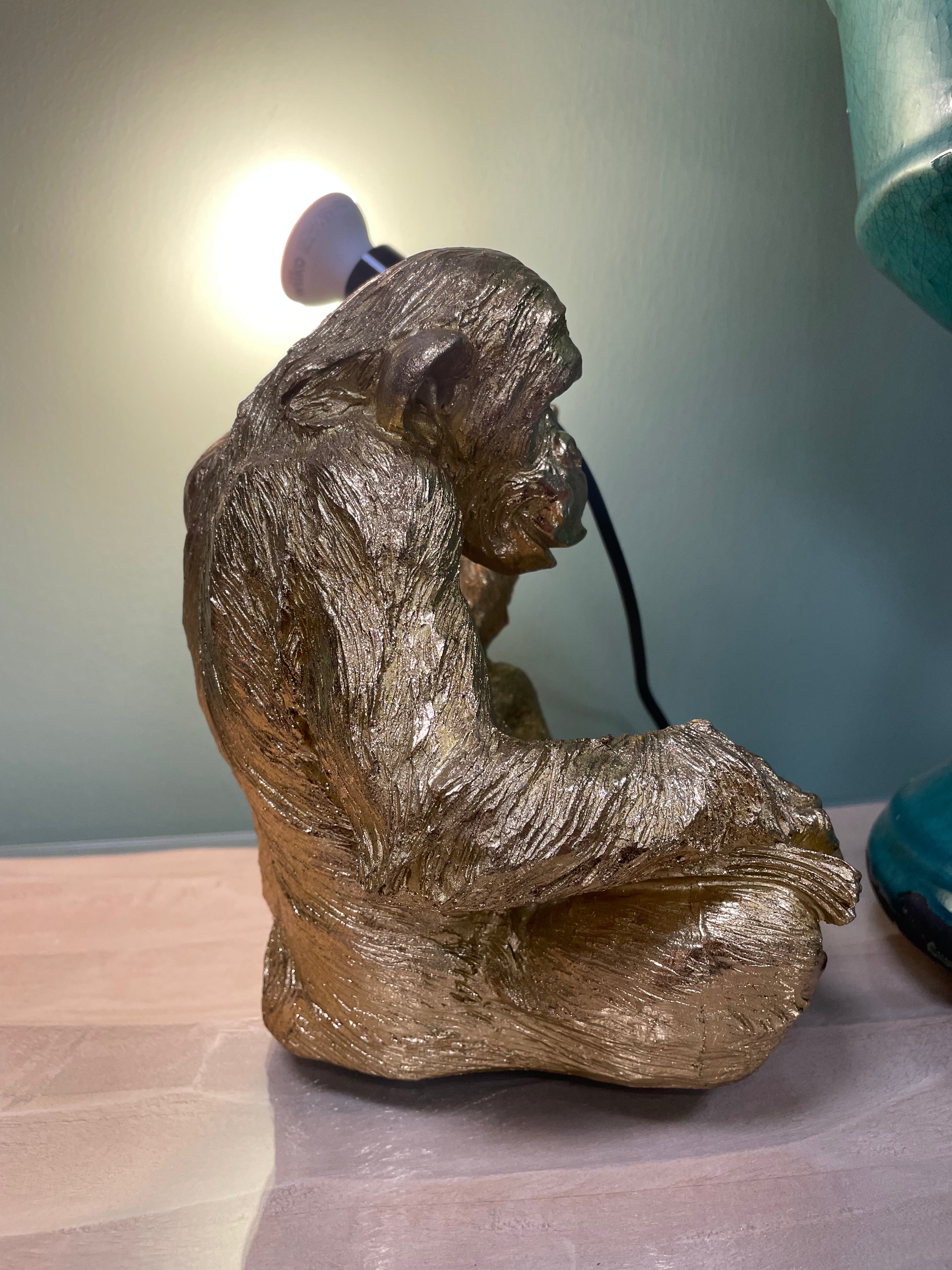 Reading Monkey Holding a Bulb
