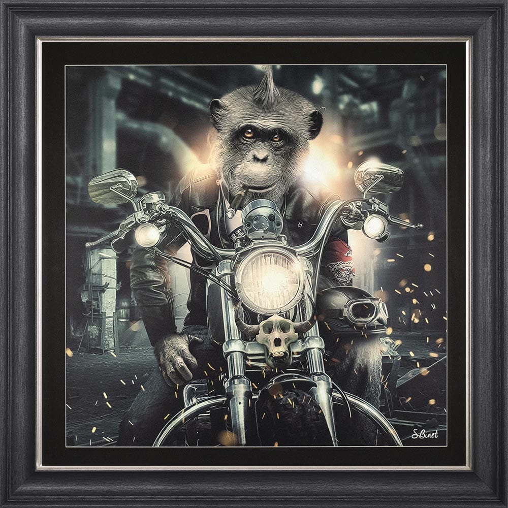 MOTORBIKE MONKEY FRAMED WALL ART