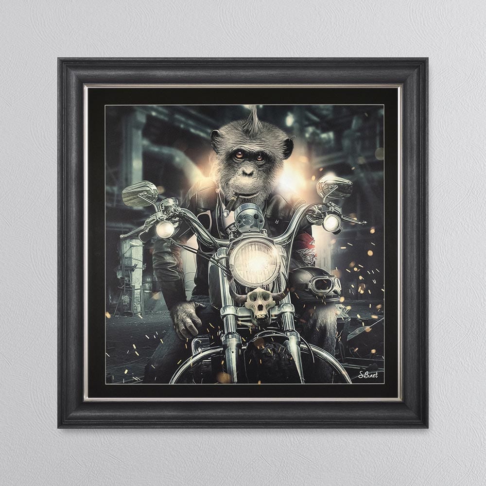 MOTORBIKE MONKEY FRAMED WALL ART