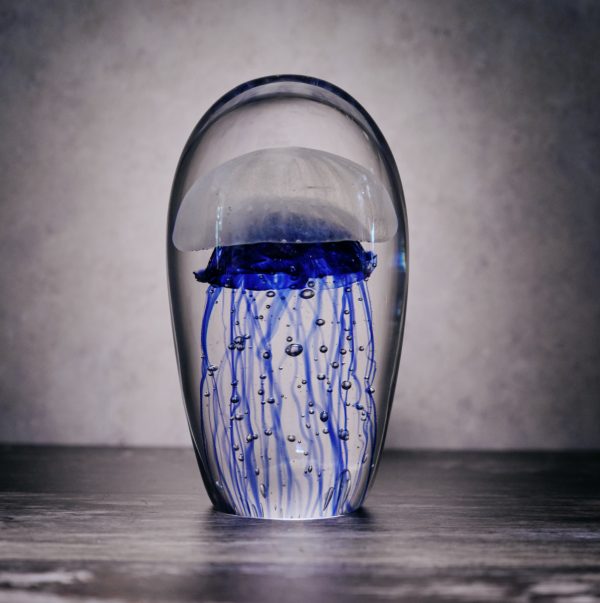 LARGE BLUE BOX JELLYFISH PAPERWEIGHT