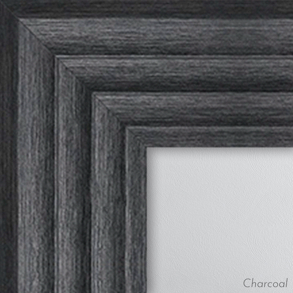 LION AND LIONESS KING AND QUEEN OF THE JUNGLE FRAMED WALL ART