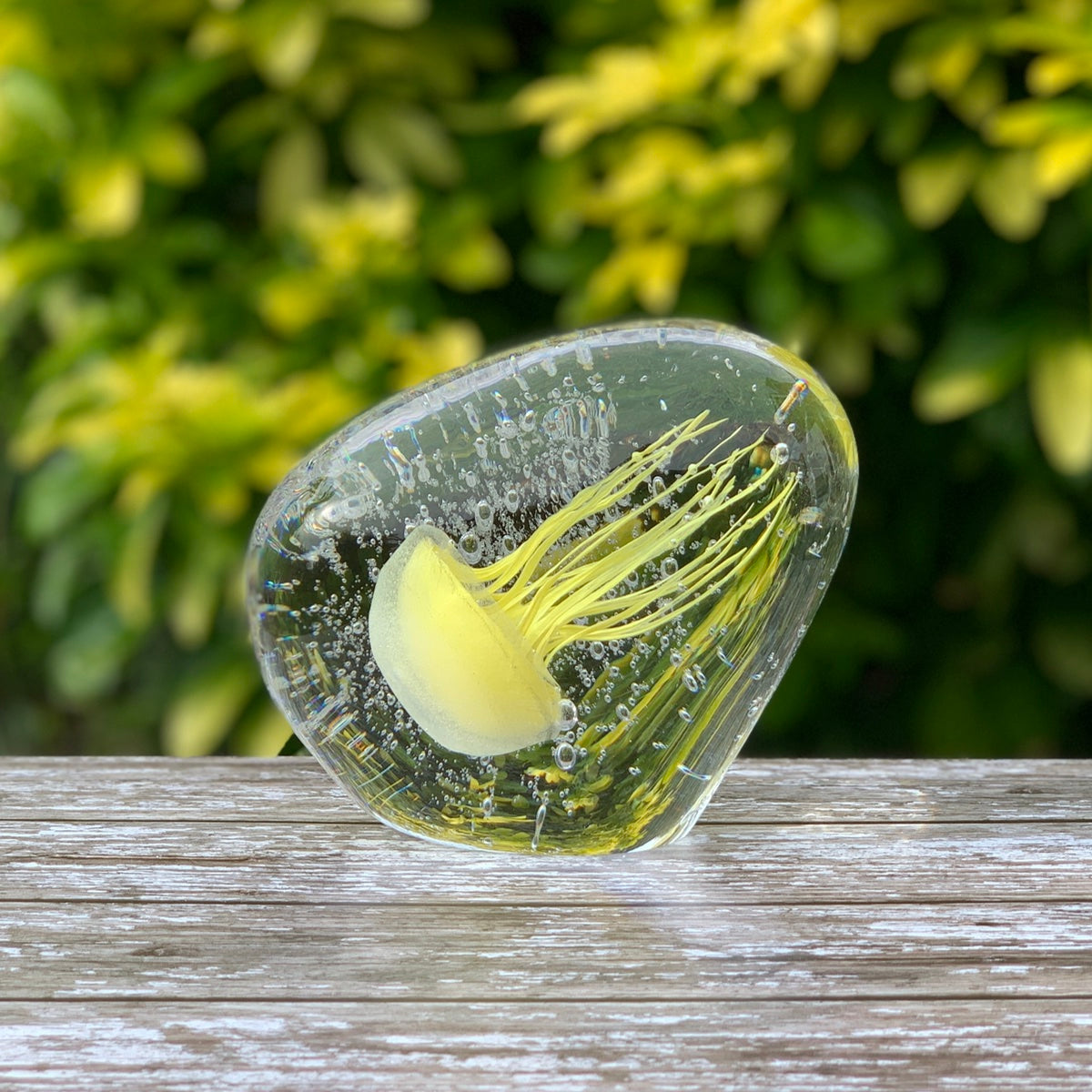 YELLOW JELLYFISH IN ICE PAPERWEIGHT