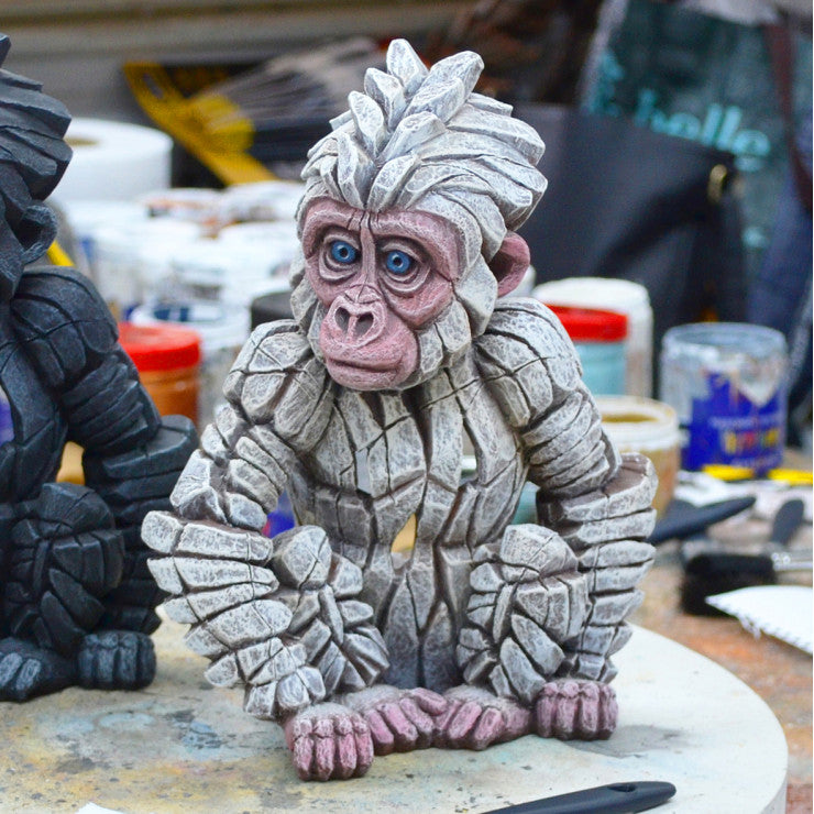 Baby Gorilla ‘Snowflake’