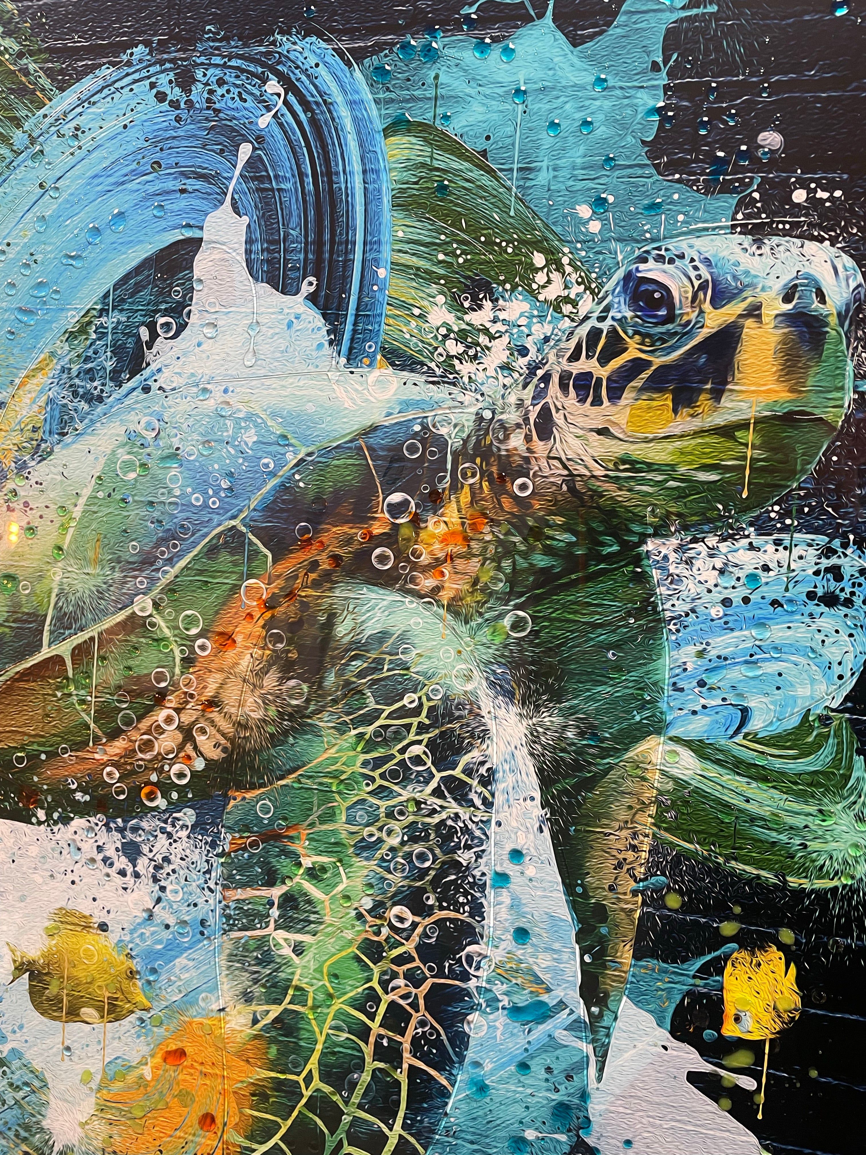Moki Sea Turtle