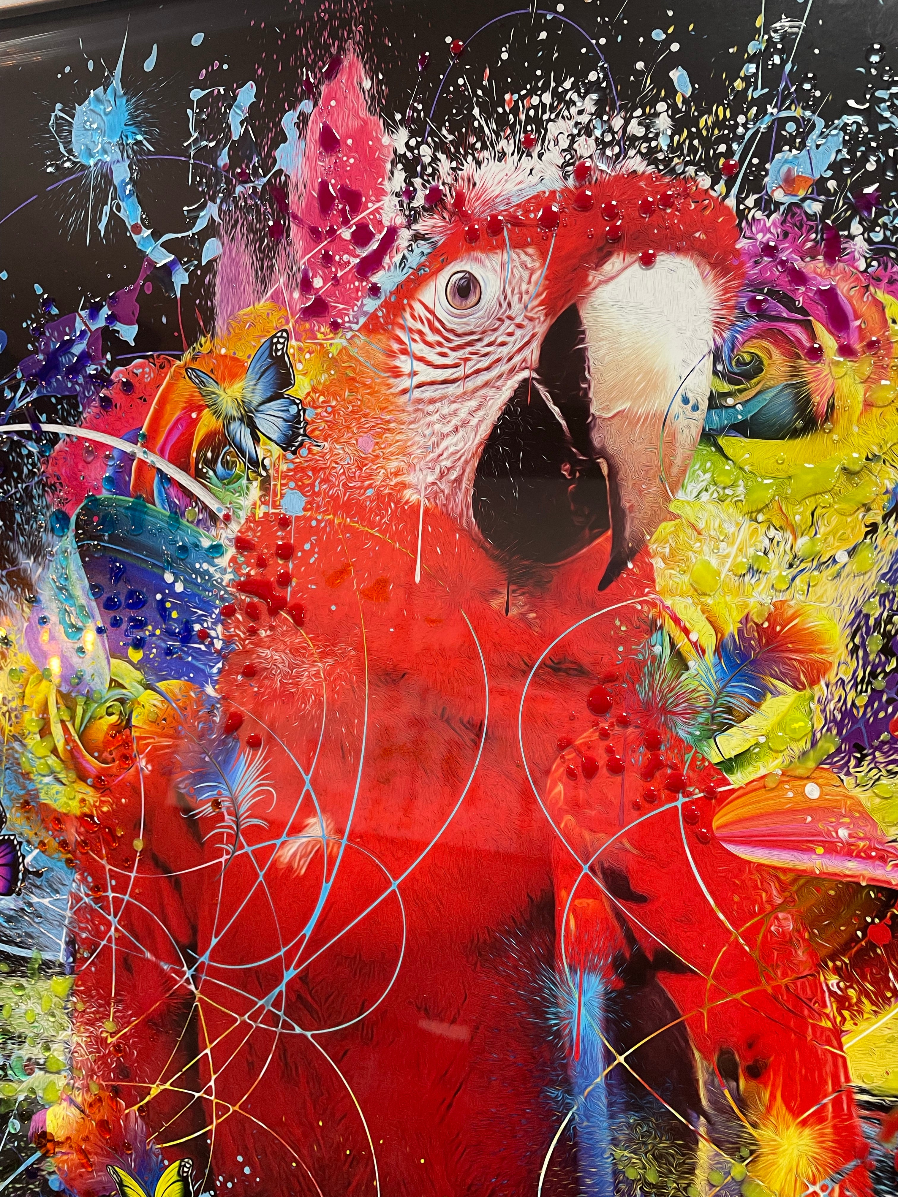 Moki Parrot Liquid art
