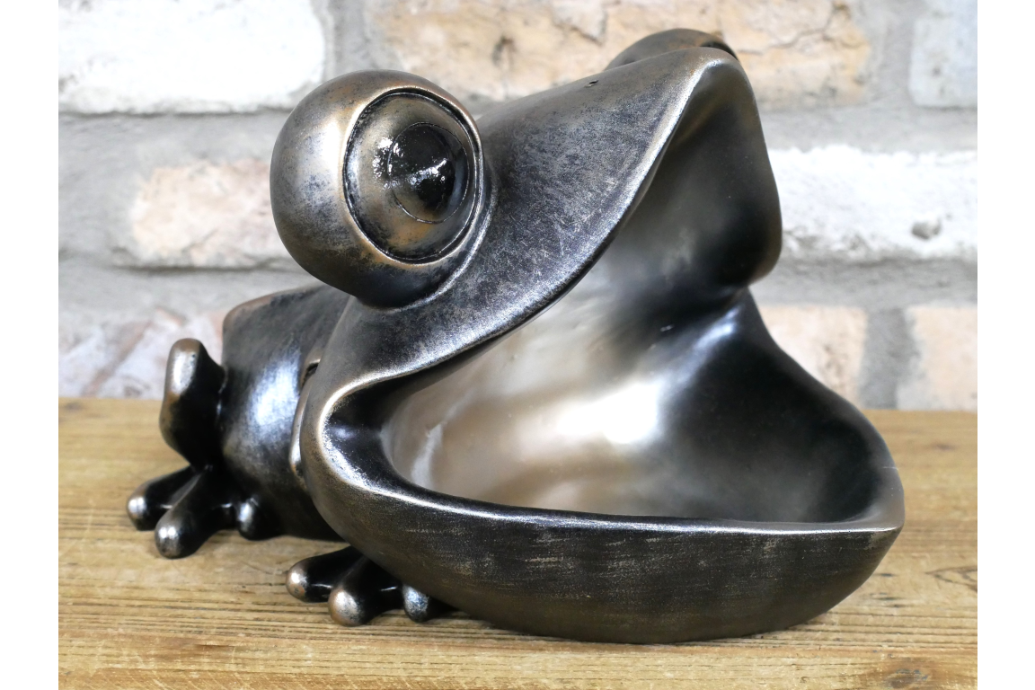 Big Mouth Frog