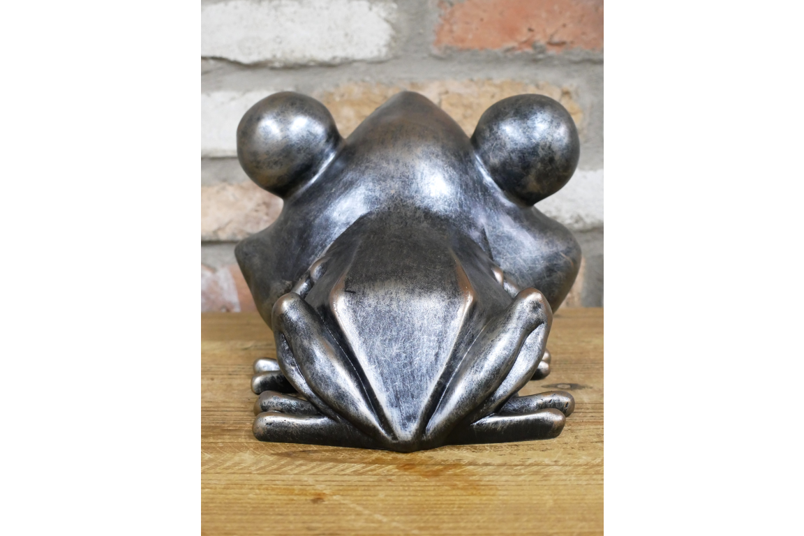Big Mouth Frog