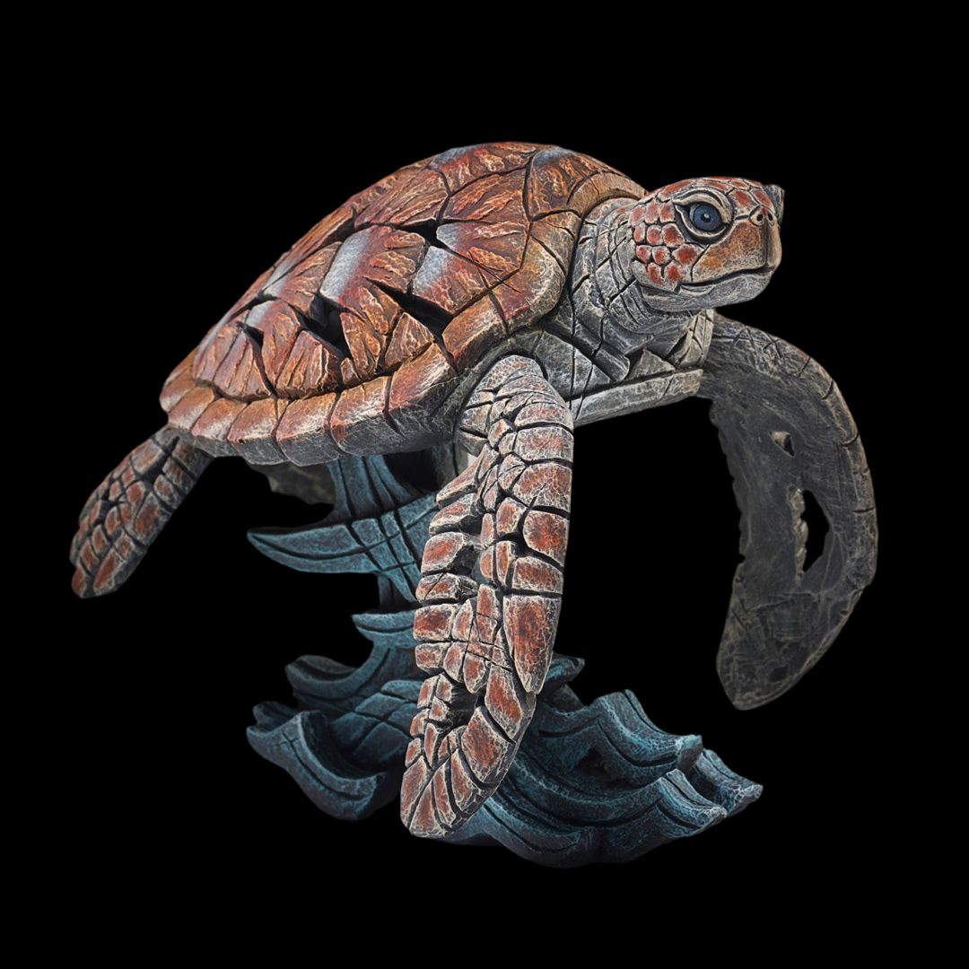 Edge Sea Turtle