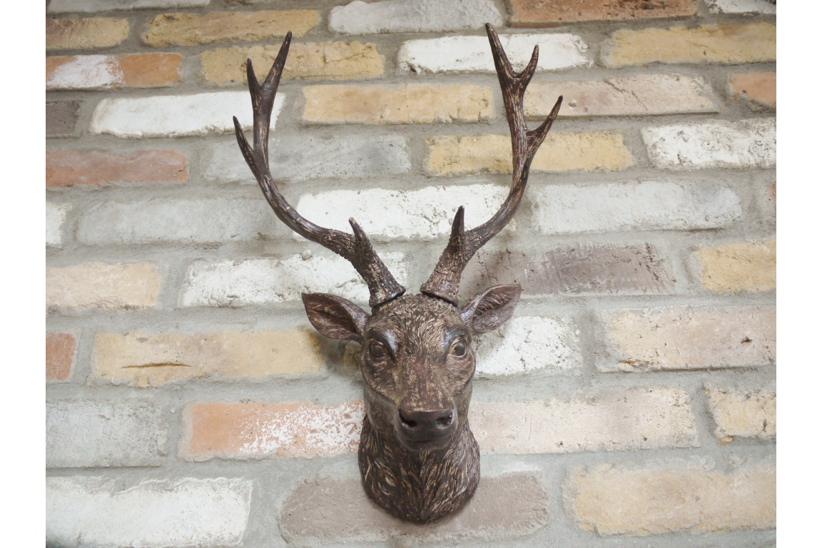 Wall stag head