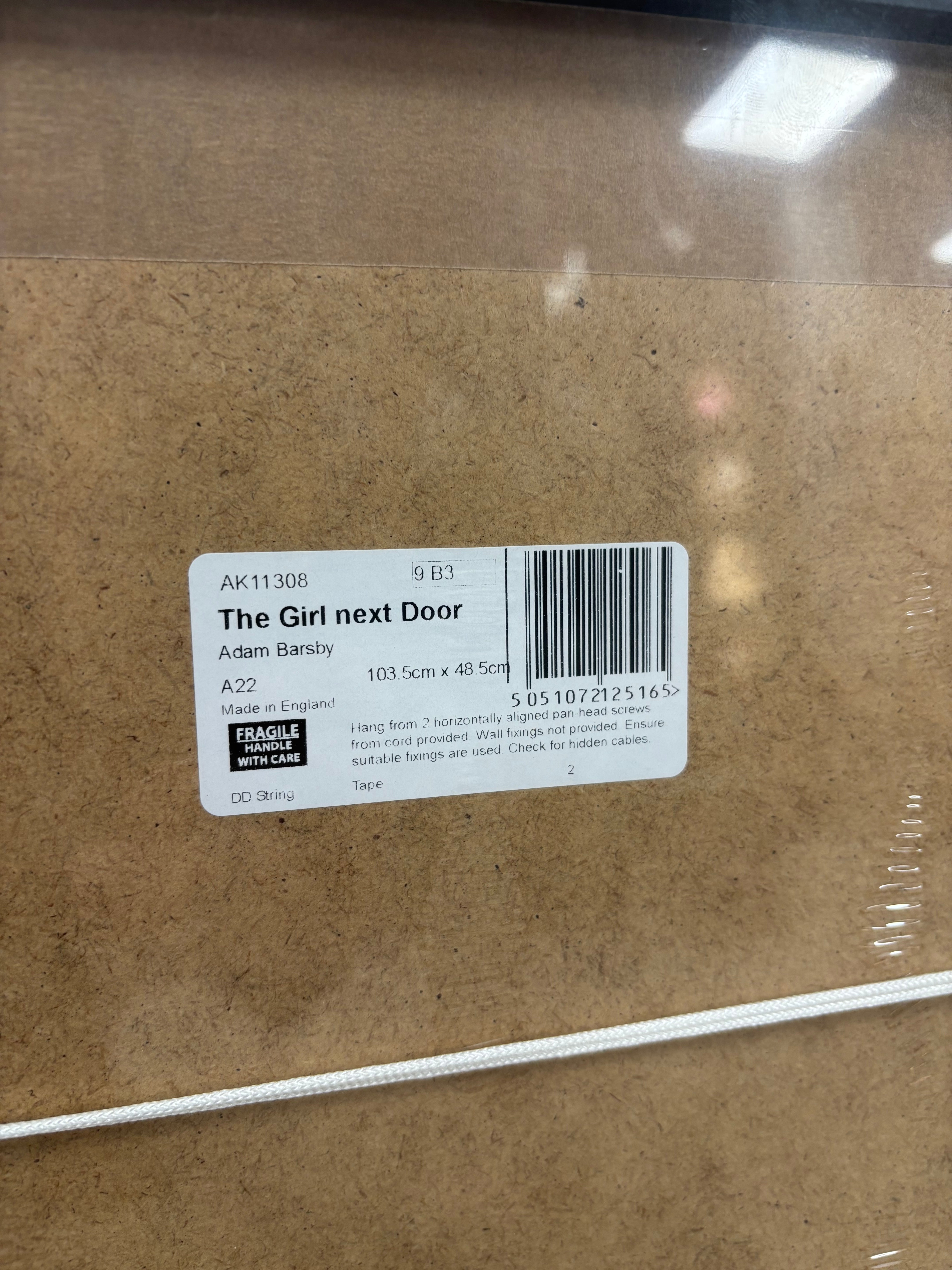 The Girl Next Door