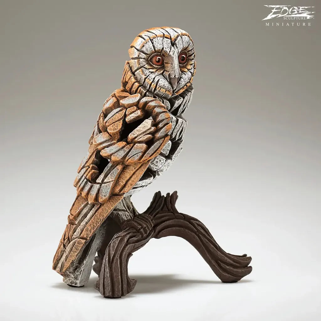 Miniature Barn Owl