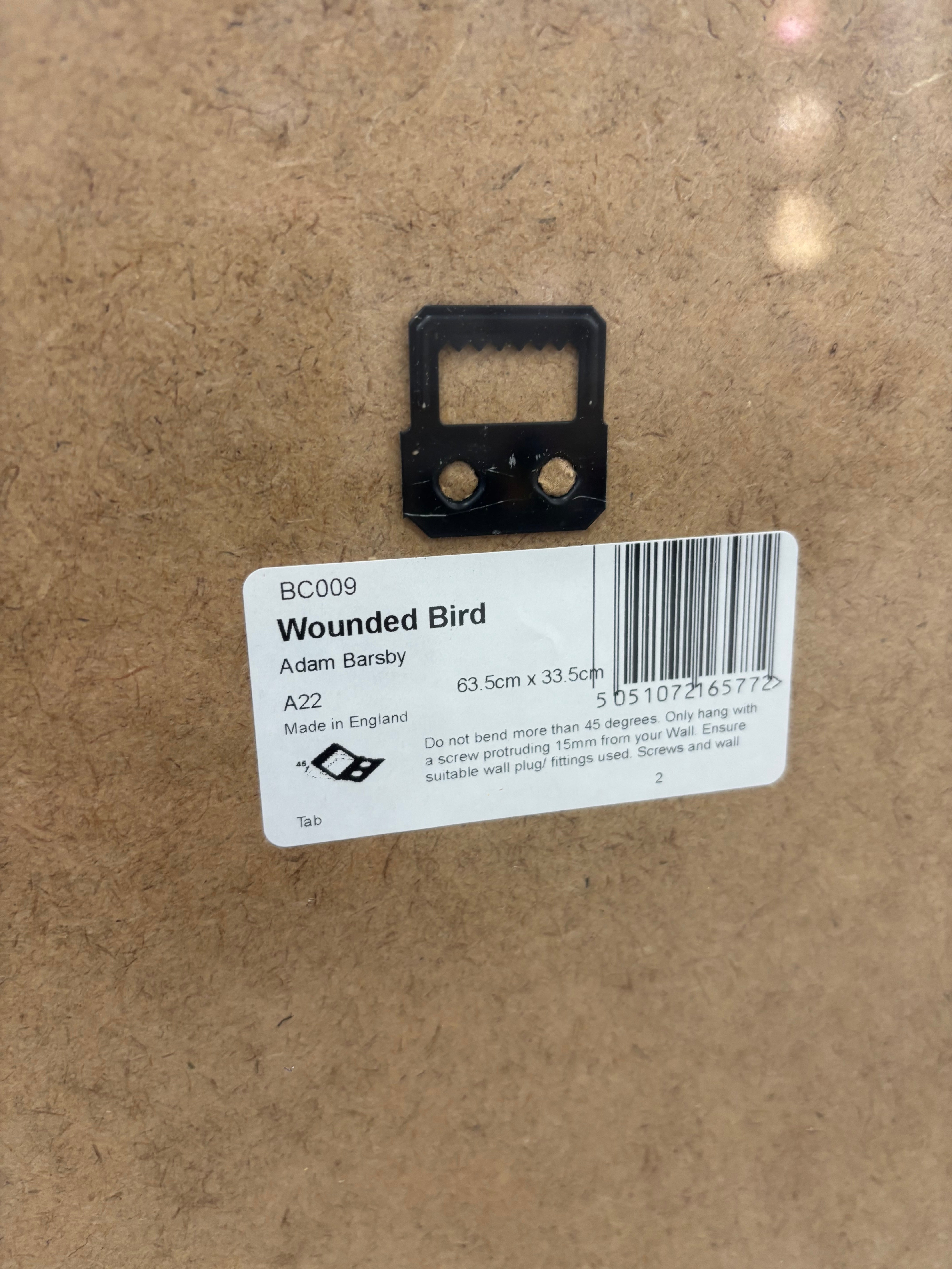 Wounded Bird