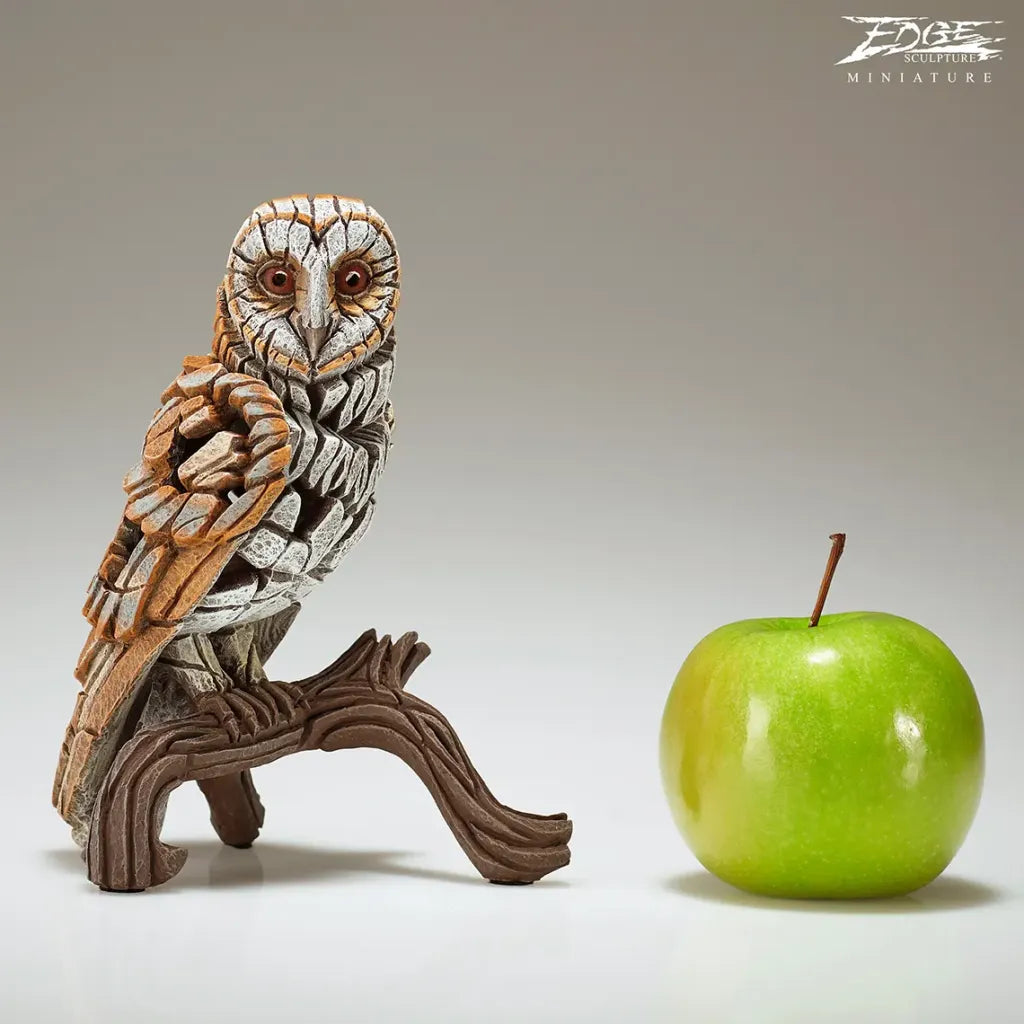 Miniature Barn Owl