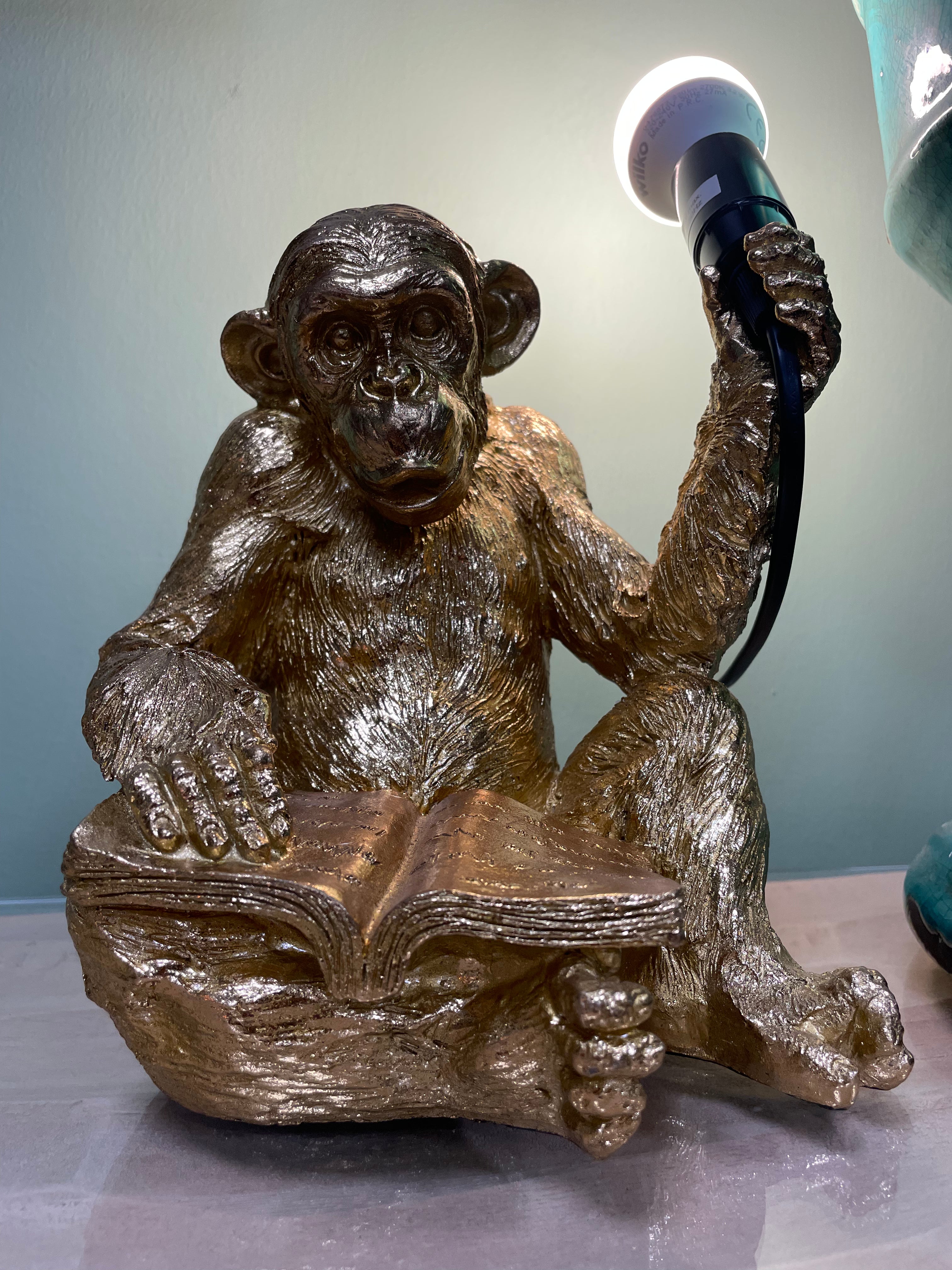 Reading Monkey Holding a Bulb