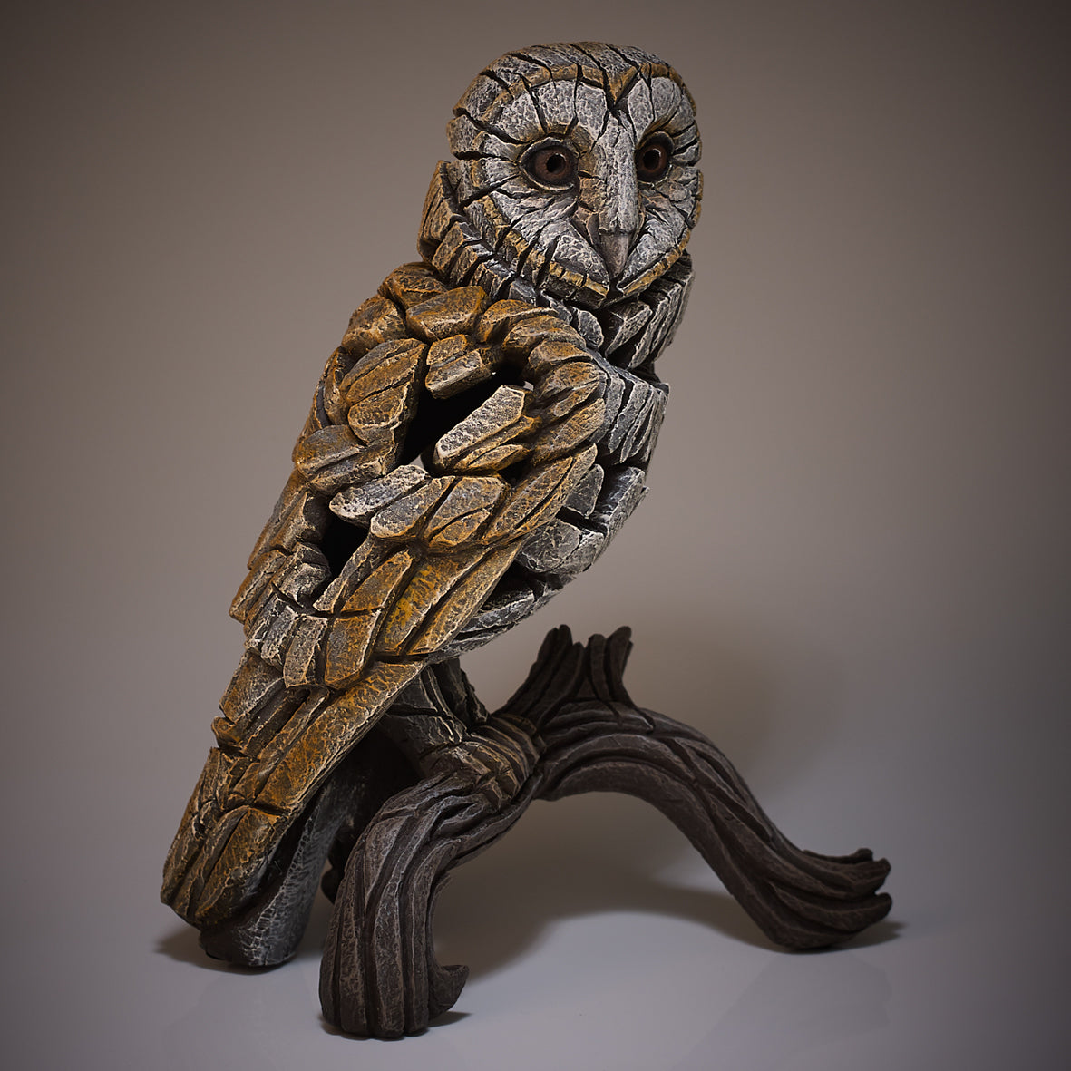 Edge barn owl