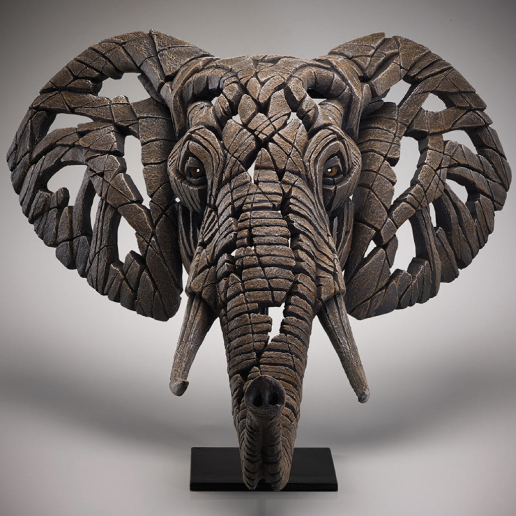 African Elephant Bust