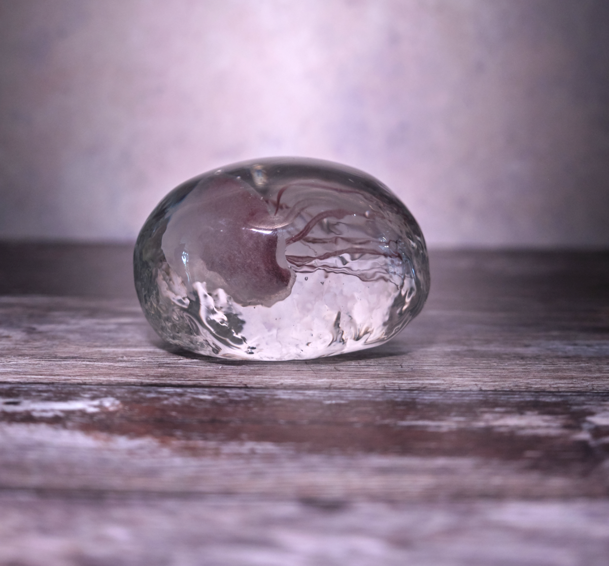 PINK JELLYFISH ON SIDE PAPERWEIGHT