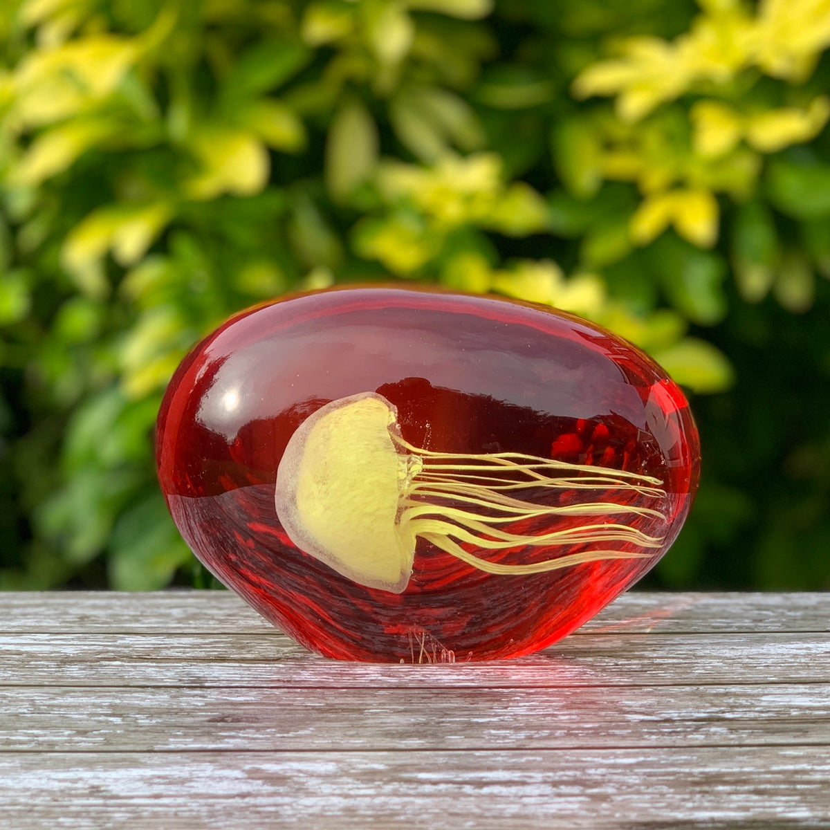 YELLOW JELLYFISH IN RED GLASS PAPERWEIGHT