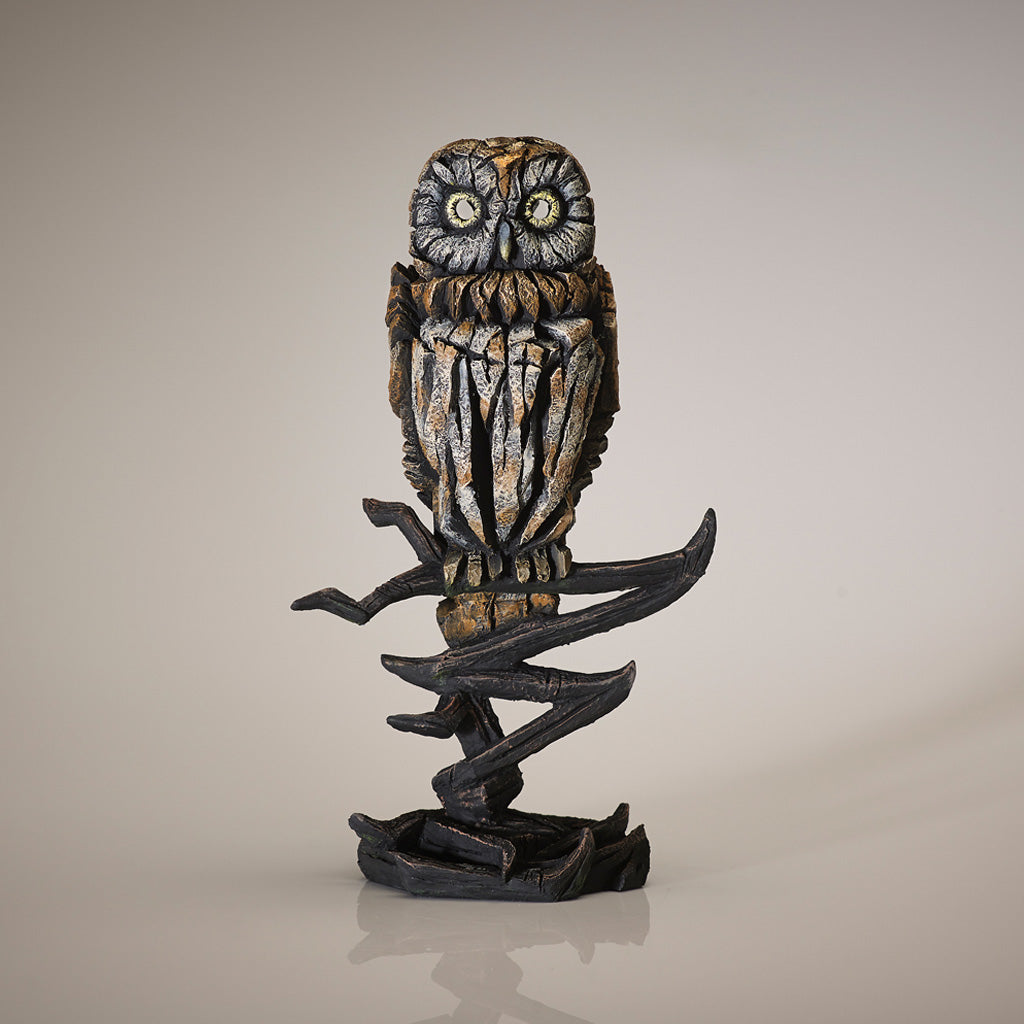 Owl - Tawny