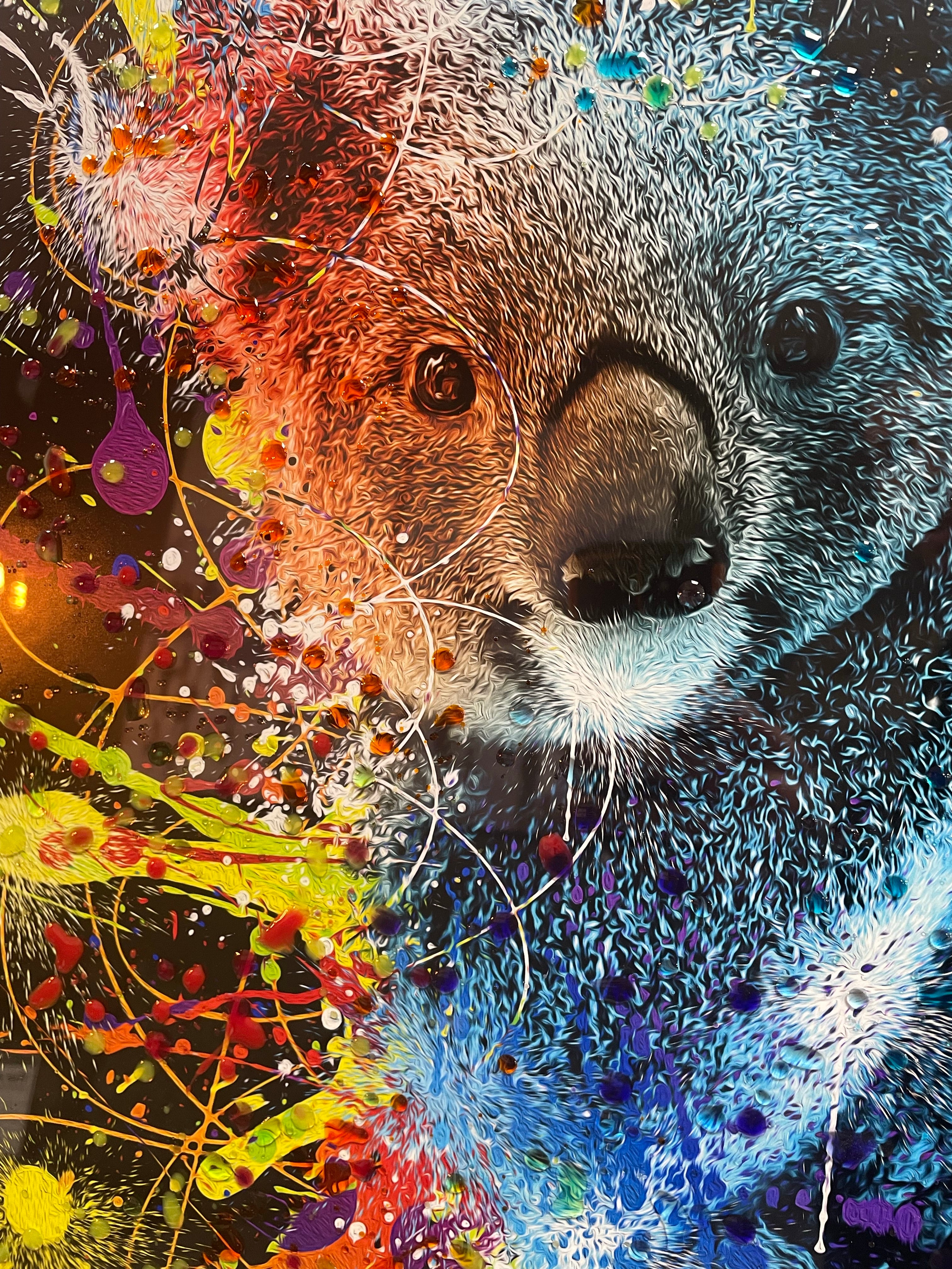 Moki Koala Liquid art