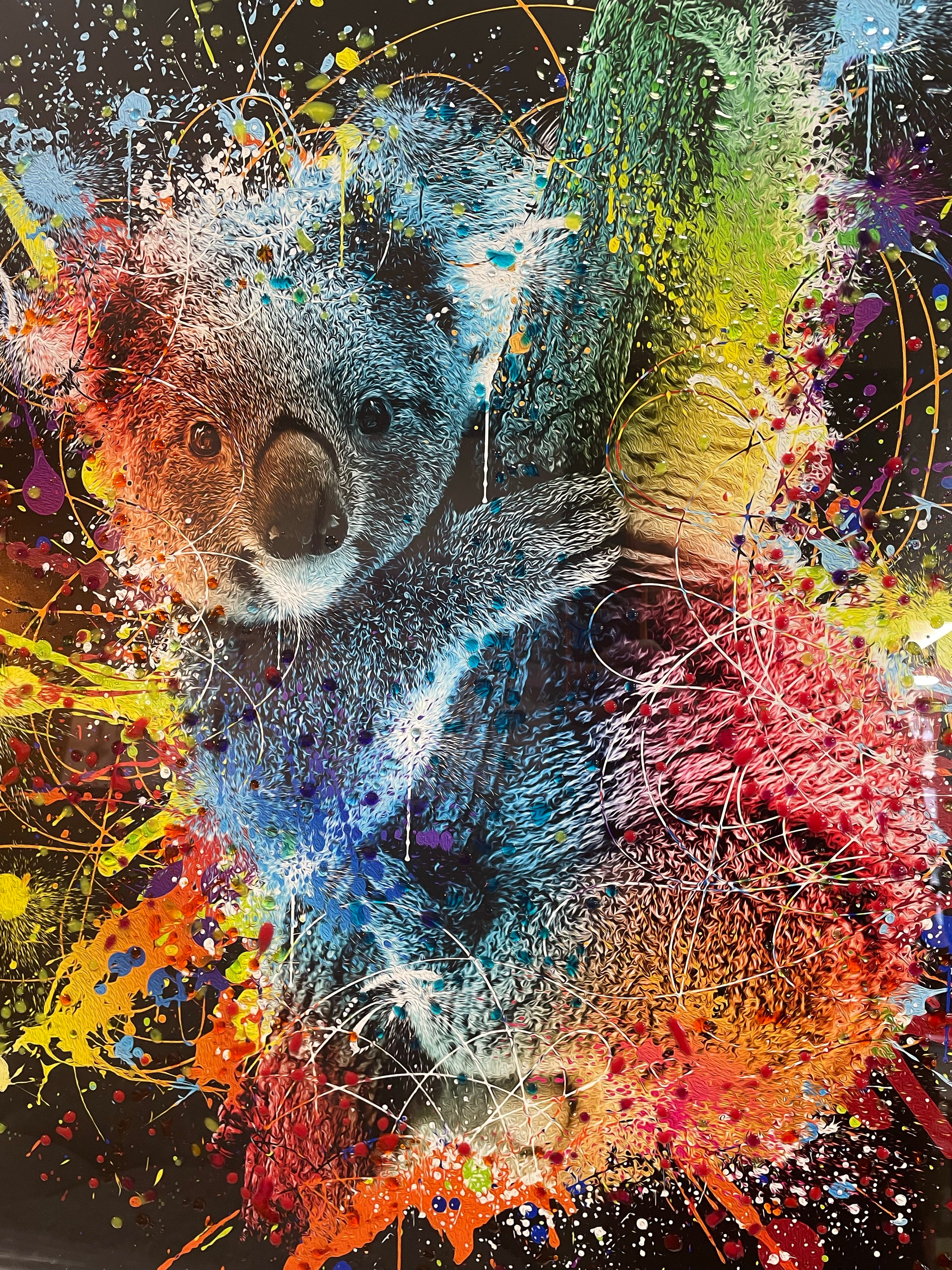 Moki Koala Liquid art